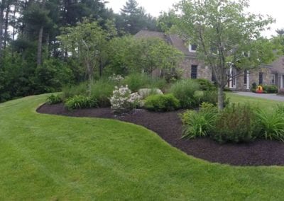 mulching edging walpole medfield dover westwood ma