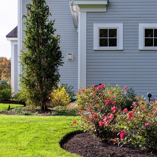 shrub tree pruning walpole medfield dover westwood ma